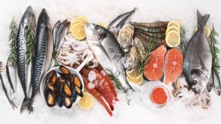15 fornecedores de pescados no atacado: peixes e frutos do mar para restaurantes e revendedores